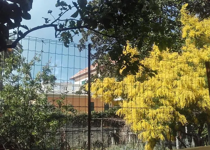 Centralissimo 아파트 *