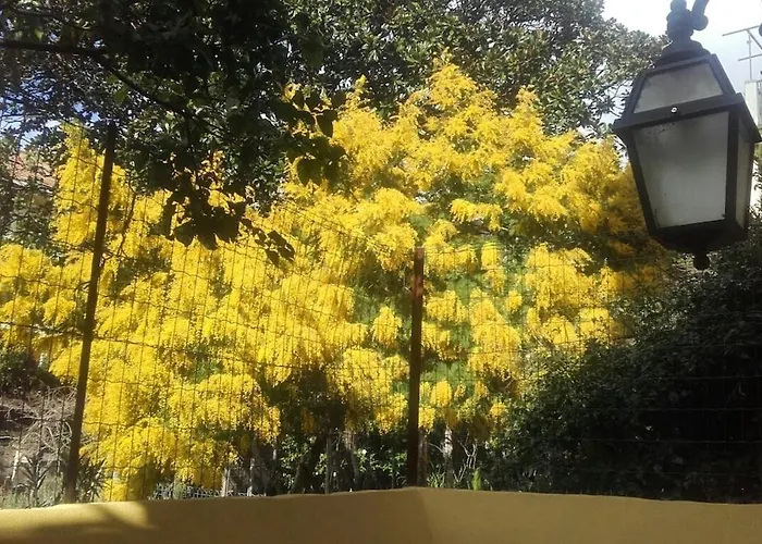 아파트 Centralissimo 레반토