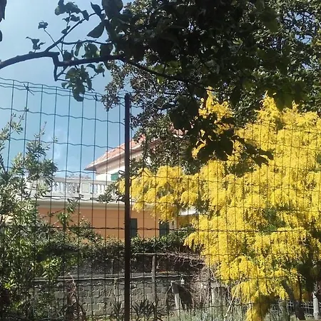 Centralissimo Apartman *