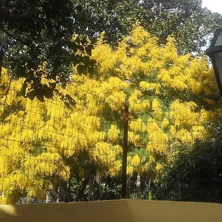 Apartman Centralissimo Levanto