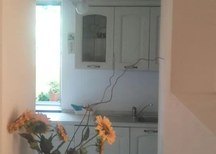 Centralissimo * Levanto